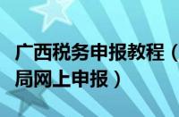 广西税务申报教程（广西壮族自治区国家税务局网上申报）