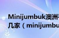 Minijumbuk澳洲手工羊毛被天猫授权店有几家（minijumbuk）