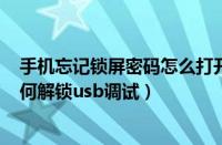 手机忘记锁屏密码怎么打开usb调试（手机解锁密码忘了如何解锁usb调试）