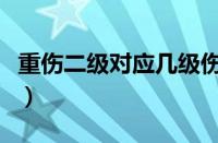 重伤二级对应几级伤残（重伤二级是什么概念）