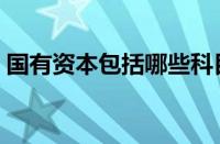 国有资本包括哪些科目（国有资本包括哪些）