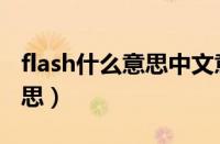 flash什么意思中文意思是什么（flash什么意思）