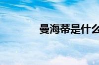 曼海蒂是什么意思（曼海蒂）