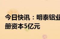 今日快讯：明泰铝业成立新材料科技公司，注册资本5亿元