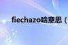 fiechazo啥意思（flechazo什么意思）