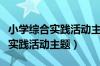 小学综合实践活动主题活动开题课（小学综合实践活动主题）