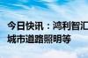 今日快讯：鸿利智汇：公司产品可应用于智慧城市道路照明等