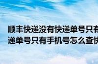 顺丰快递没有快递单号只有手机号怎么查快递（顺丰没有快递单号只有手机号怎么查快递）