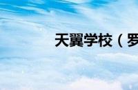 天翼学校（罗定天翼家校通）