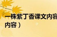 一株紫丁香课文内容是什么（一株紫丁香课文内容）