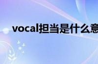 vocal担当是什么意思还有（vocal担当）