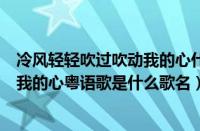 冷风轻轻吹过吹动我的心什么歌抖音（冷风轻轻吹过吹动了我的心粤语歌是什么歌名）