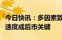 今日快讯：多因素致冷库苹果价格异动，去库速度成后市关键