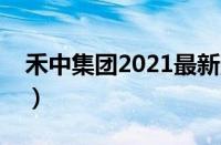 禾中集团2021最新消息（禾中集团最新消息）