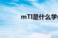 mTI是什么学位（mti是什么）