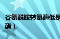 谷氨酰胺转氨酶低是什么意思（谷氨酰胺转氨酶）