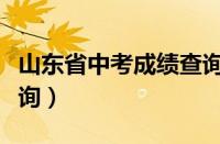 山东省中考成绩查询官网（山东省中考成绩查询）