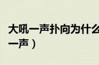 大吼一声扑向为什么是梗（扑通一声还是扑嗵一声）