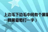 上边毛下边毛中间有个黑葡萄打一字谜（上边毛下边毛中间一颗黑葡萄打一字）