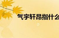 气宇轩昂指什么生肖（气宇轩昂）