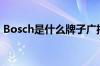 Bosch是什么牌子广播（bosch是什么牌子）