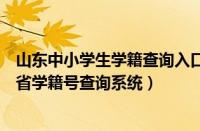 山东中小学生学籍查询入口全国统一学籍号查询系统（山东省学籍号查询系统）