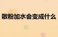 散粉加水会变成什么（水散粉和散粉的区别）