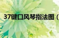 37键口风琴指法图（37键口风琴简谱大全）