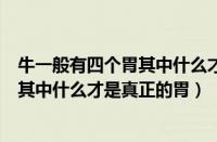 牛一般有四个胃其中什么才是真正的胃喂（牛一般有四个胃其中什么才是真正的胃）