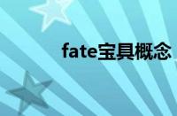 fate宝具概念（fate宝具大全）