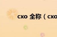 cxo 全称（cxo概念是什么意思）