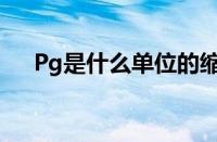 Pg是什么单位的缩写（pg是什么单位）