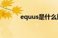 equus是什么牌子的车（equ）