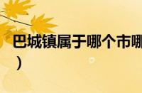 巴城镇属于哪个市哪个区（巴城镇属于哪个市）