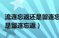 流连忘返还是留连忘返哪个正确（流连忘返还是留连忘返）