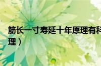 筋长一寸寿延十年原理有科学依据吗（筋长一寸寿延十年原理）