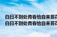 白日不到处青春恰自来苔花如米小也学牡丹开的意思作文（白日不到处青春恰自来苔花如米小也学牡丹开）