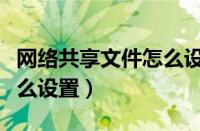 网络共享文件怎么设置容量（网络共享文件怎么设置）