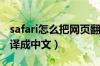 safari怎么把网页翻译成中文（怎么把网页翻译成中文）