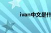 ivan中文是什么意思（ivan）