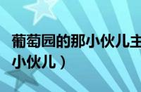 葡萄园的那小伙儿主题曲谁唱的（葡萄园的那小伙儿）