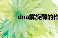 dna解旋酶的作用（dna解旋酶）