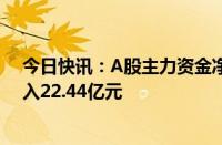 今日快讯：A股主力资金净流入20.46亿元，电子设备净流入22.44亿元