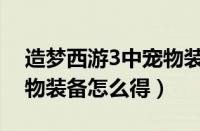 造梦西游3中宠物装备怎么得（造梦西游3宠物装备怎么得）