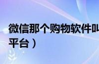 微信那个购物软件叫什么（微信上有哪些购物平台）