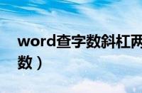 word查字数斜杠两边代表什么（word查字数）