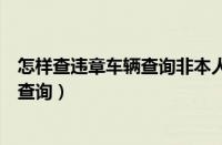 怎样查违章车辆查询非本人车辆违章查询（怎样查违章车辆查询）