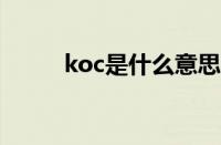 koc是什么意思（ko是什么意思）