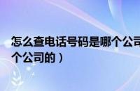 怎么查电话号码是哪个公司的手机号（怎么查电话号码是哪个公司的）