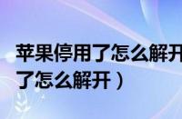 苹果停用了怎么解开手机不想刷机（苹果停用了怎么解开）